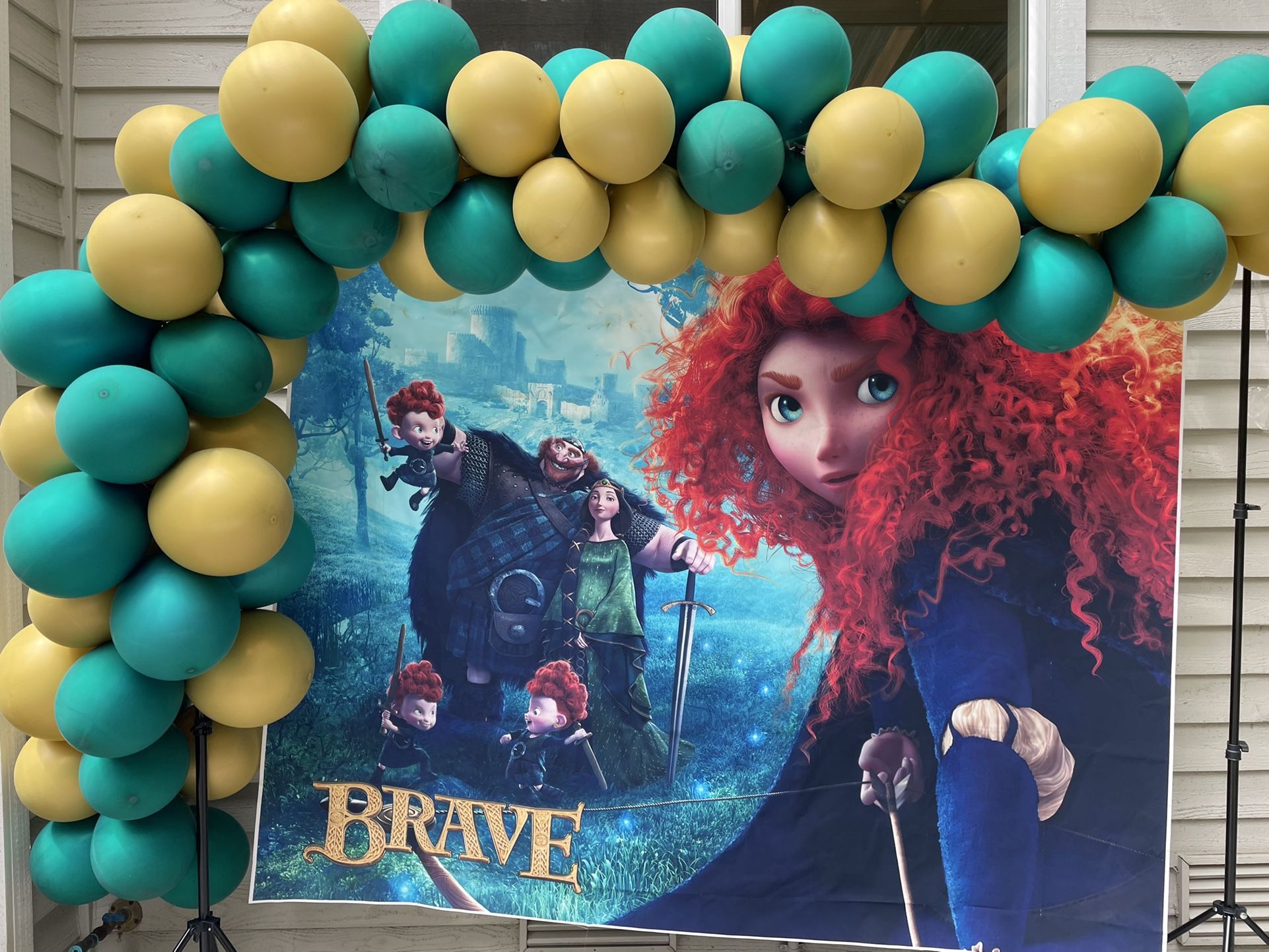 Brave/Princess Merida Party Decorations