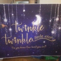 Gender Reveal Twinkle Twinkle Backdrop