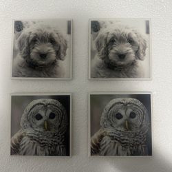 Set of four coasters featuring images of a barred owl and a goldendoodle puppy