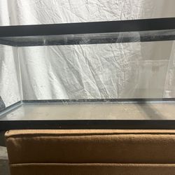 20 Gallon Reptile Cage 
