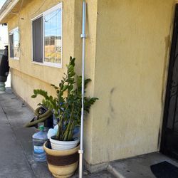 Olympic Barbell Weights 