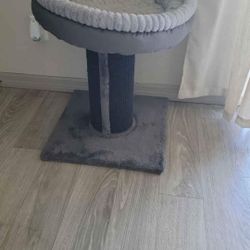 Cat Bed/Scratching Post