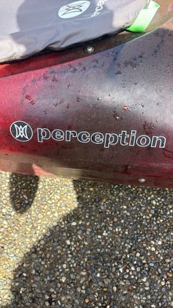 Perception Conduit 13