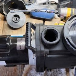 2hp Pool Pump With 1 Year Warranty