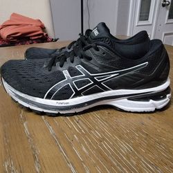 Asics GT-2000 Flytefoam 