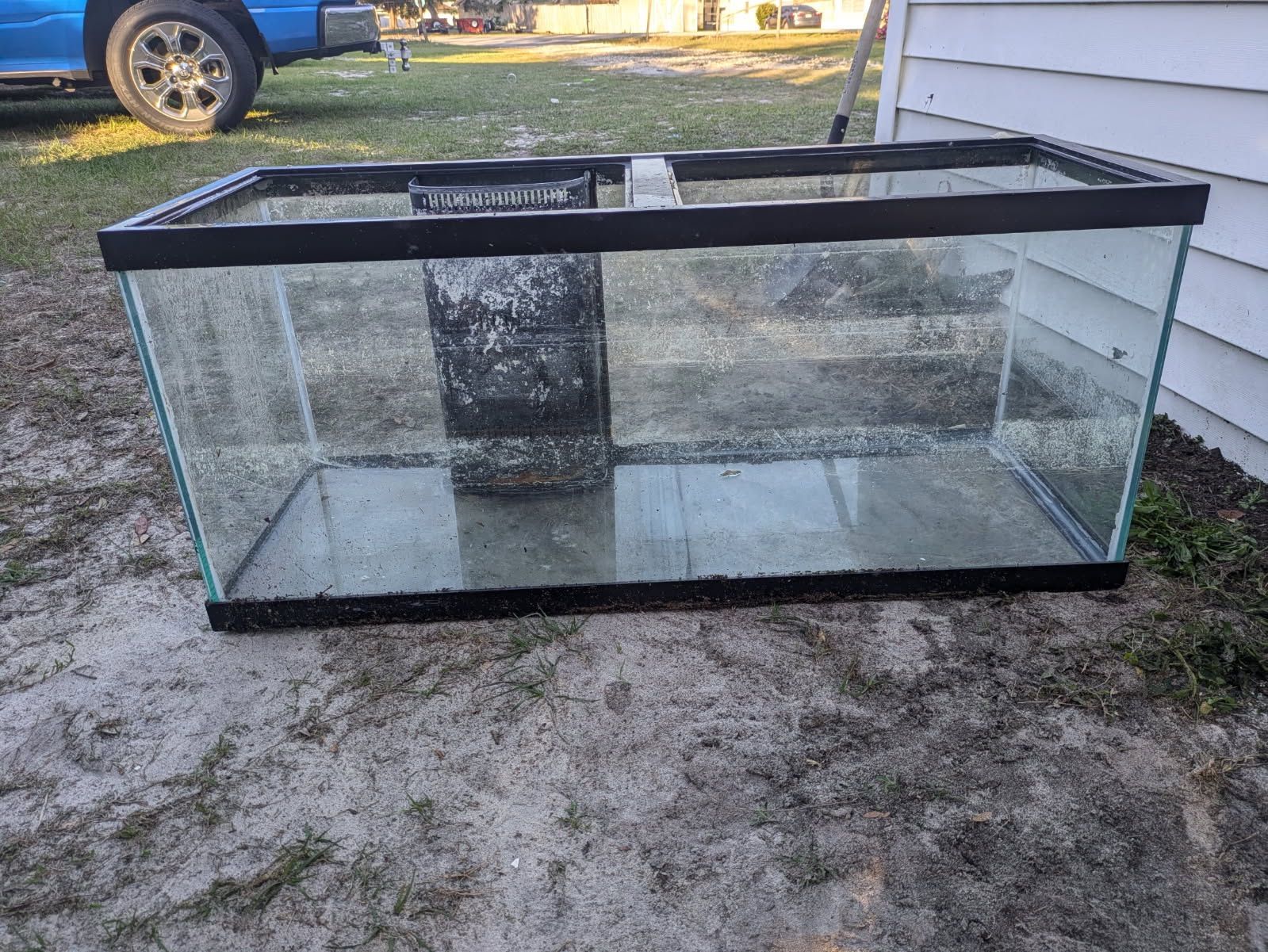 Saltwater Fish tank
