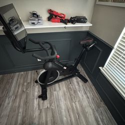 Pro form bike with screen