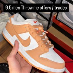 Nike SB Dunk Size 9.5