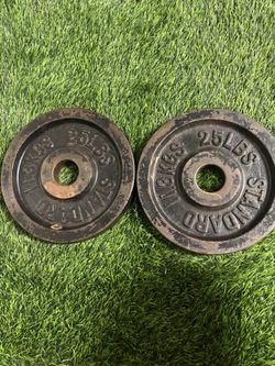 Standard 25 lbs Cast Iron Weight Plates