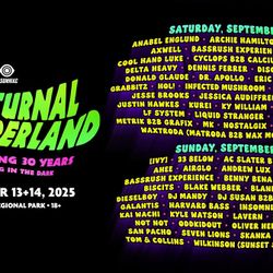 Nocturnal Wonderland Tent Camping