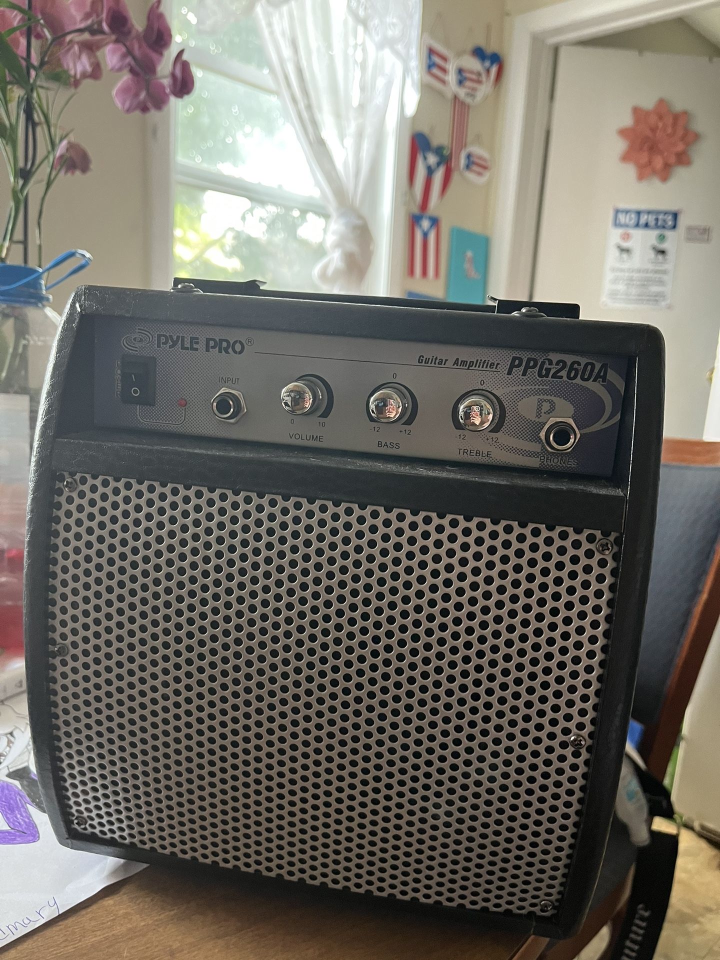 Guitar Amplifier