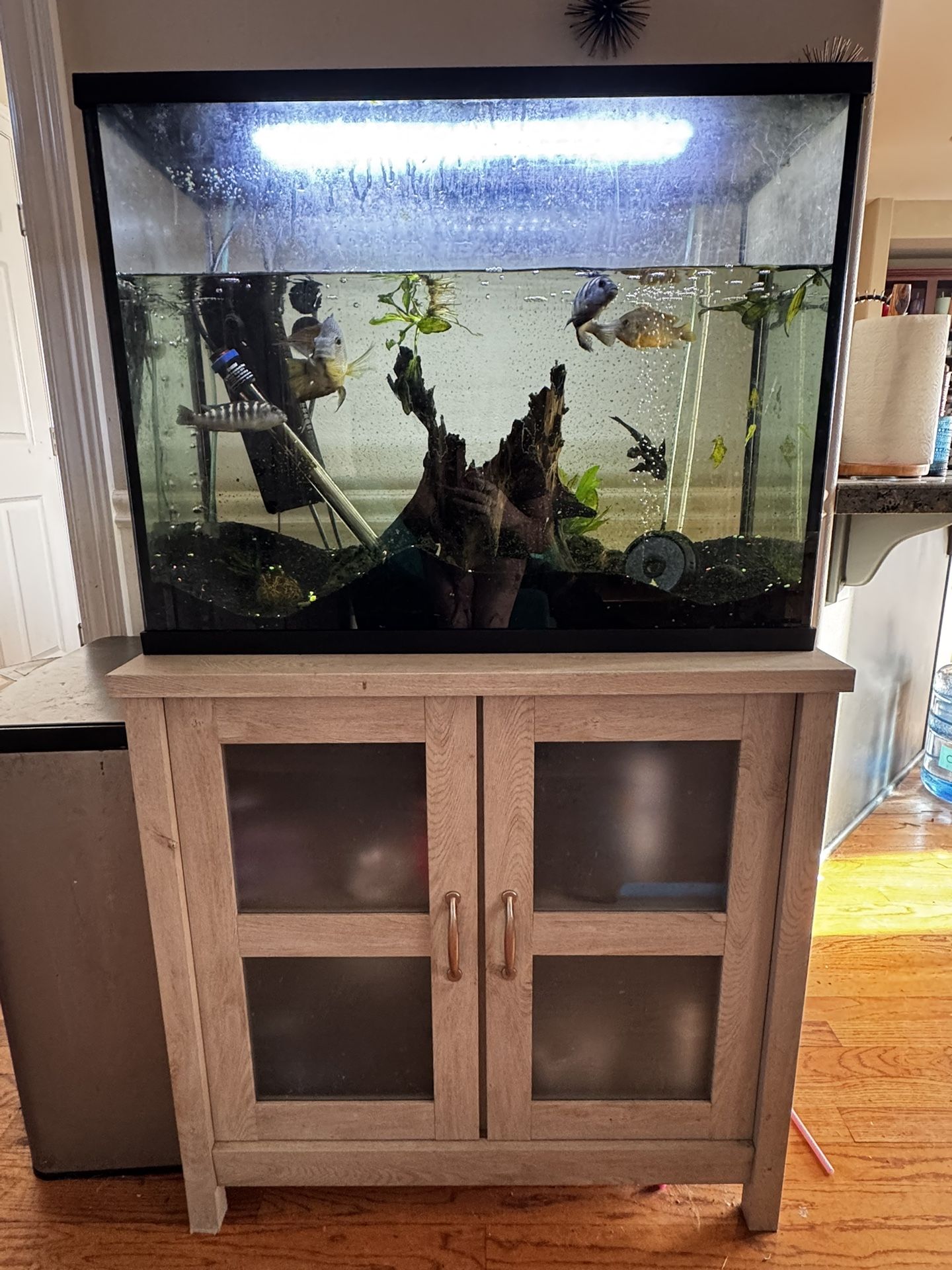 55 Gallon Tank And Stand