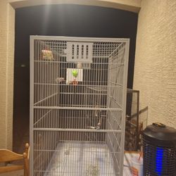 Free Bird Cages Still In Good Condition Just Bought New Ones 