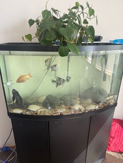 45 Gallon Aquarium, stand, and all accessories