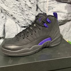 Jordan 12 Dark Concord GS