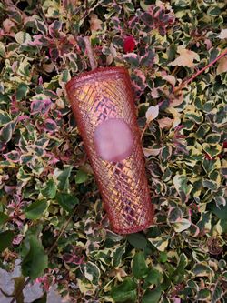 Starbucks Pink Jewel