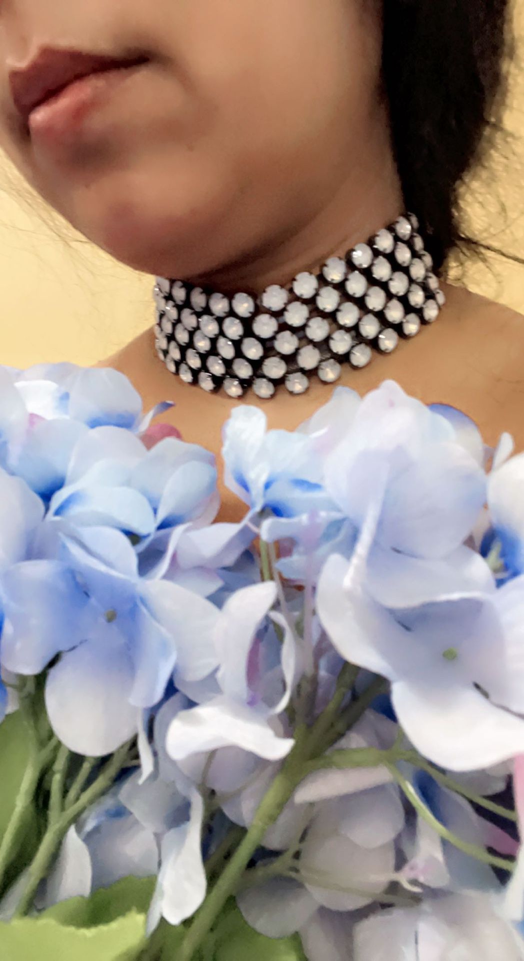 Beautiful Choker Brand New