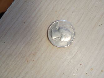 Rare coin