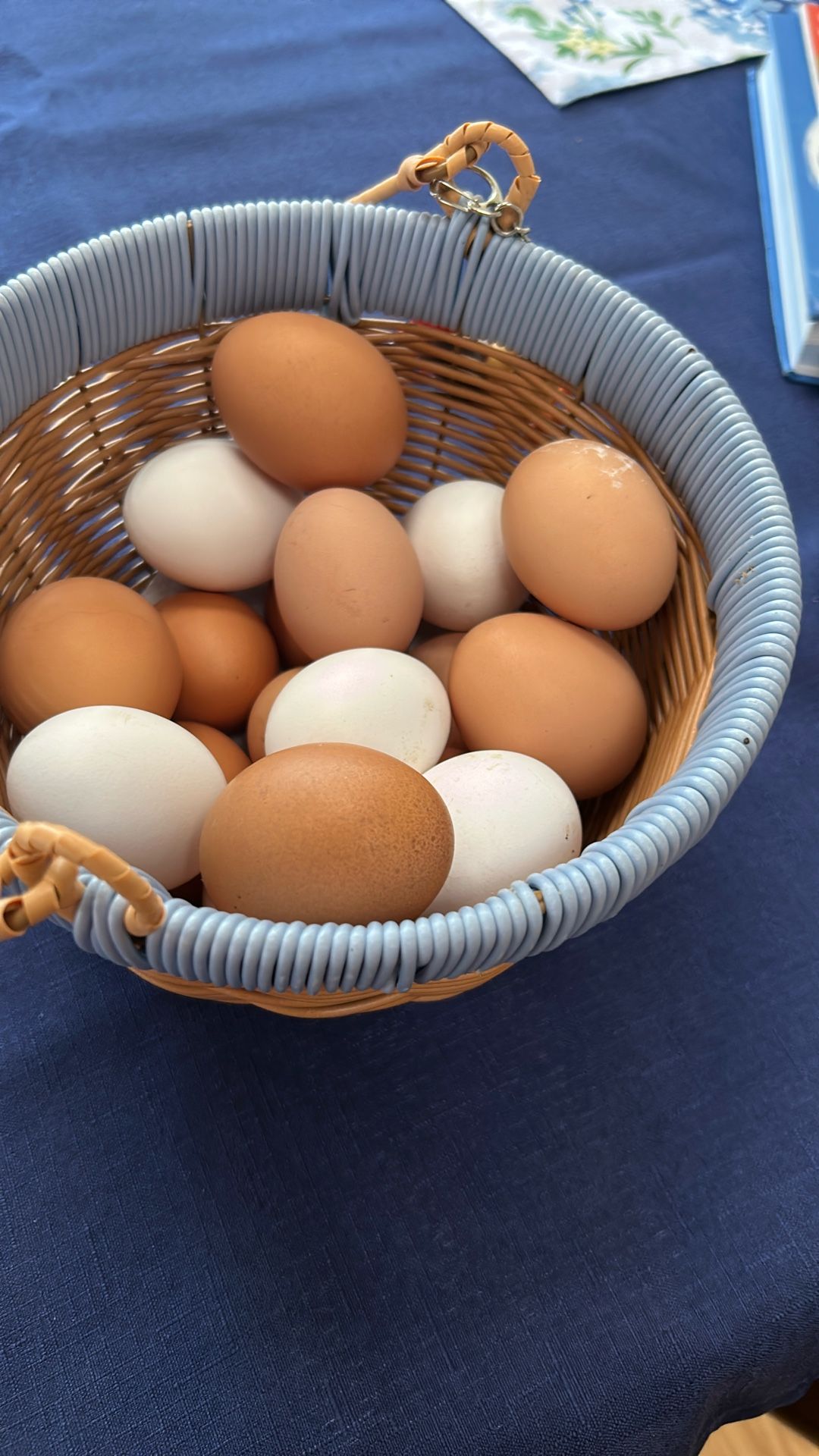 Fresh Eggs From Farm