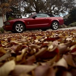 2007 Ford Mustang