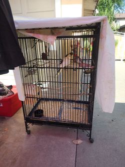 Yard sale