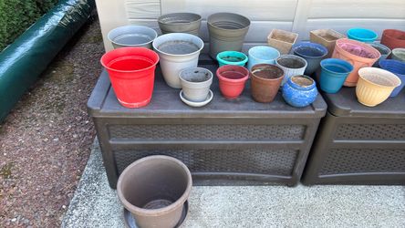 Plant Pots