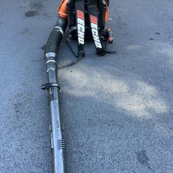Echo Backpack Blower