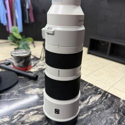 Sony FE 200-600 Lense