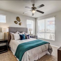 Private Bed/ Bath Walk In Closet $1150 Fixed