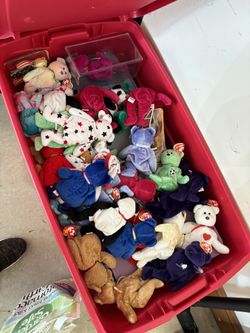 Box Of Beanie Babies 