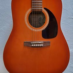 Art & Lutherie Dreadnought Guitar