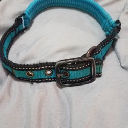 Dog Collar By Kong