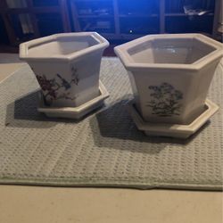 Beautiful Ceramic Plant Pots