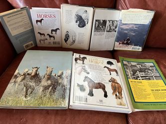 Lot Of Horses Books