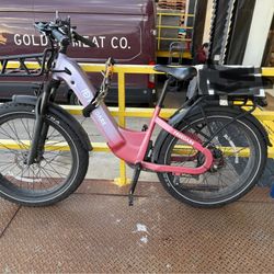 Freedare E-bike 