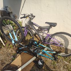 2 Bikes need some work