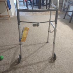 Guardian Walker Mpu
