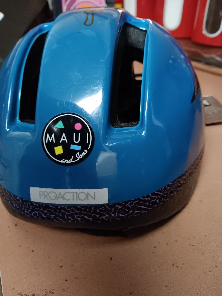 Vintage 1994 Proactive Bike Helmet