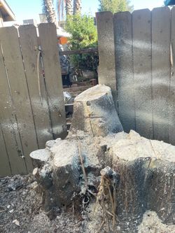 Need stump removal