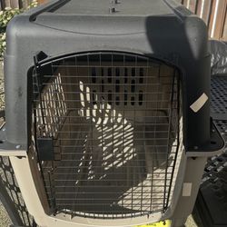 Dog Kennel