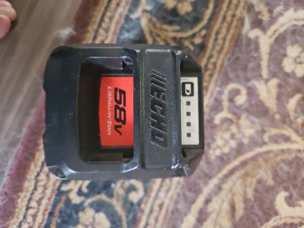 Echo 58 VOLT BATTERY