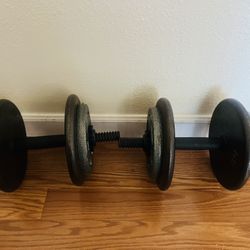 90 Lbs Dumbbells 
