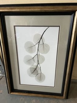 Framed Wall Art