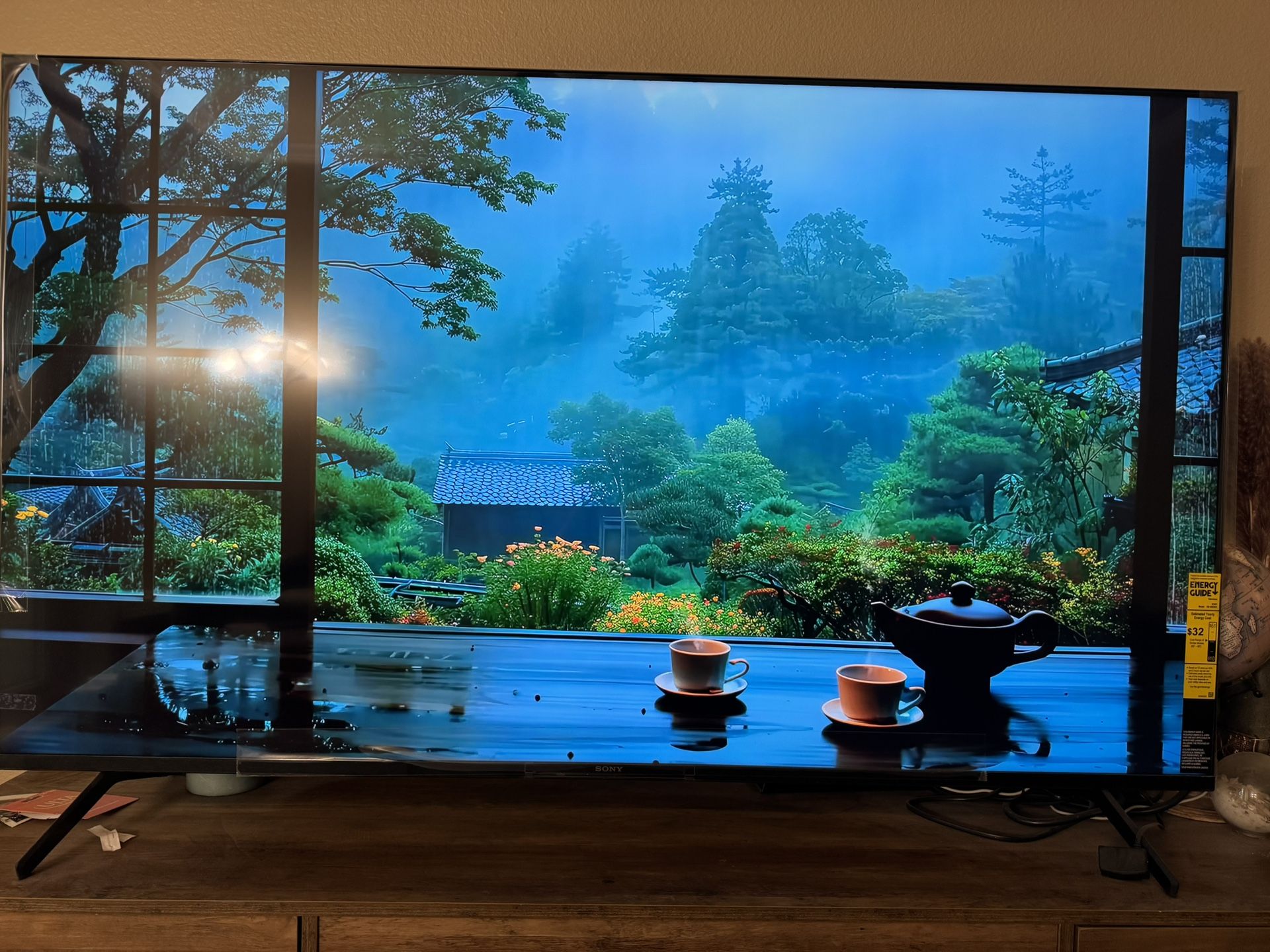 Sony Google TV 65inch. 