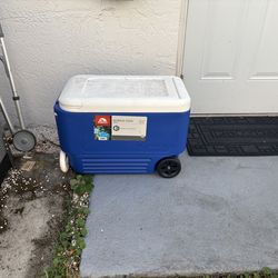 IGLOO cooler 38 quart