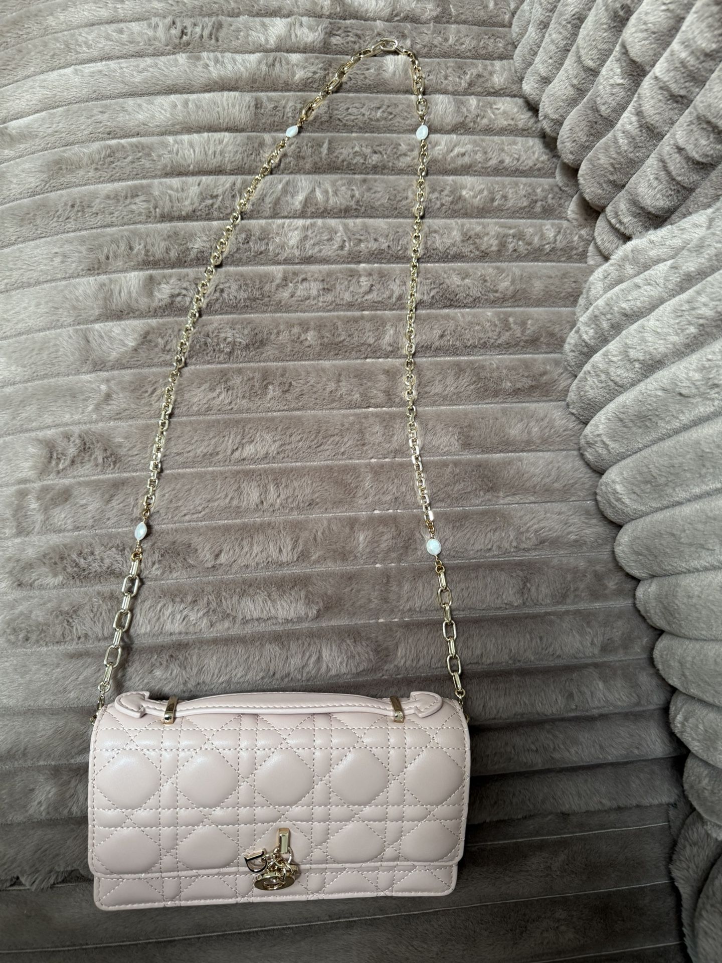 Dior Bag