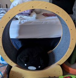 Wooden Cat Wheel