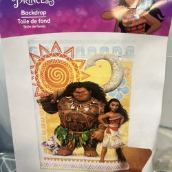 Moana & stitch party decorations 