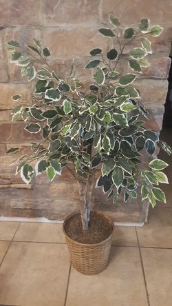 Decorative artificial plant