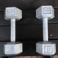 Pair of 15 Lb Steel Dumbbells 